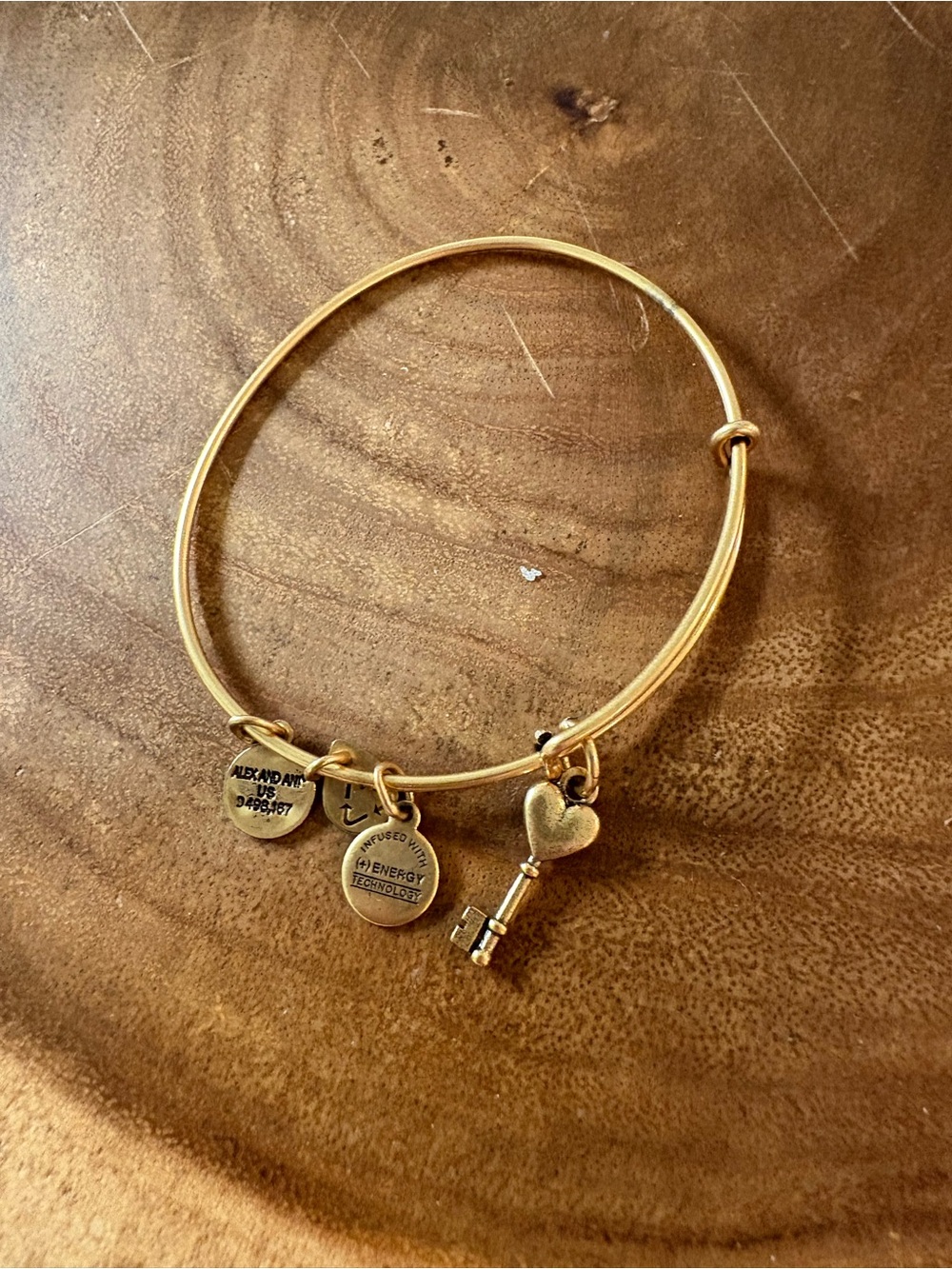 Alex and Ani Gold Charm Bangle Bracelet with Heart Key Charm
